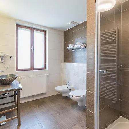 Wellness & Spa Hotel Augustiniansky Dum 4*