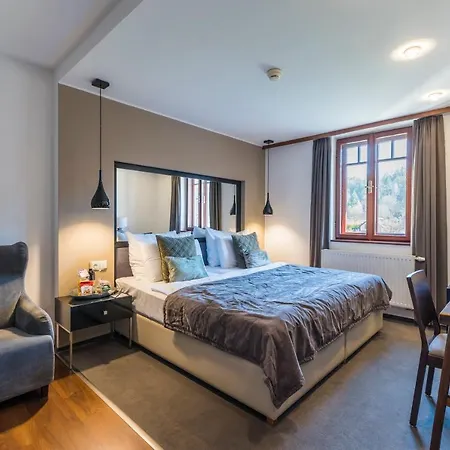 Wellness & Spa Hotel Augustiniansky Dum 4*