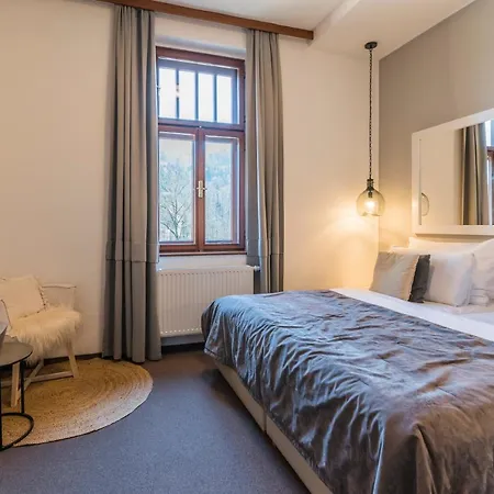 Wellness & Augustiniansky Dum Отель