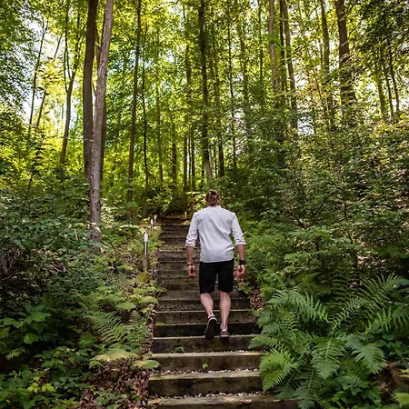 Wellness & Augustiniansky Dum Отель