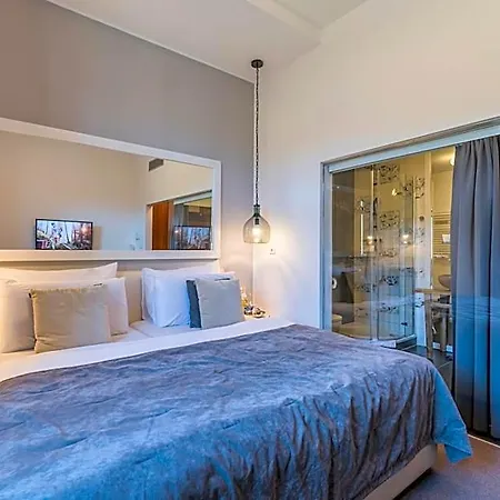Hotel Wellness & Spa Hotel Augustiniansky Dum 4*