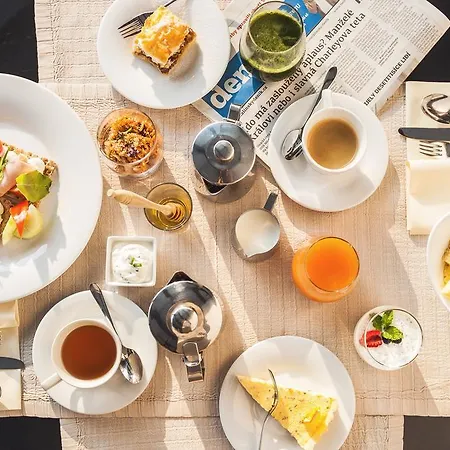 Wellness & Augustiniansky Dum 4* Лугачовице