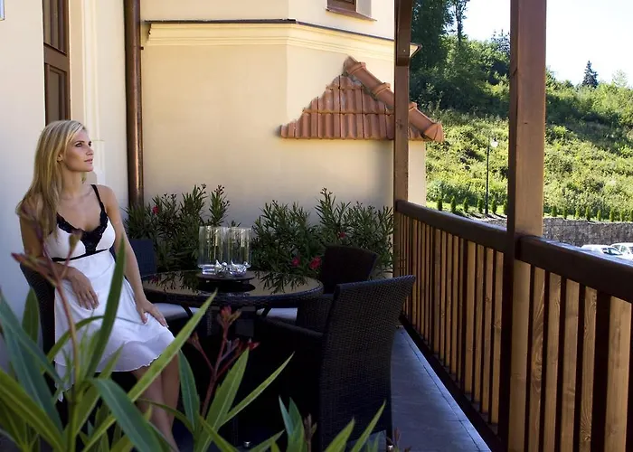 Hotel Wellness&spa Augustiniánský Dům 4*
